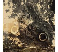 Levi Louise Landes - Ikiru Or the Wanderer