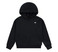 Levi´s ® Kids Felpa Con Cappuccio Batwing Chest Hit