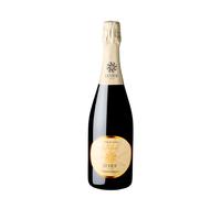 LEVIDE TRENTO DOC EXTRA BRUT 2021 CIME DI ALTILIA 0,75 LT CAEB18