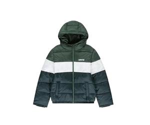 Levi's Lvb-Piumino a Blocchi di Colore Giacca, Bistrò Verde, 2 Anni Bambini e Ragazzi