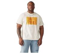 Levi's Big SS Relaxed Fit Tee T-Shirt, Plus Archival 2hp Pa, XXL Uomo