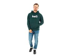 Levi's Relaxed Graphic Sweatshirt, Felpa con cappuccio Uomo, Poster Ponderosa Pine, XXL