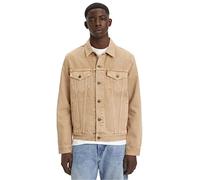 Levi's Type 3 Sherpa Trucker Giacca Uomo (Pacco da 1)