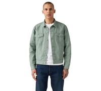 Levi's Type 3 Sherpa Trucker Giacca Uomo (Pacco da 1)
