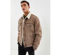 Levi's® - TYPE 3 SHERPA TRUCKER Marrone - Abbigliamento XL Marrone