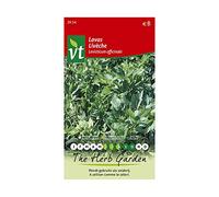 Levistico - Una pianta vigorosa con un aroma simile al sedano