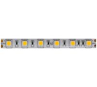Levitantes Striscia LED5050 24 V 14,4 W/m 300 L/5 m IP65