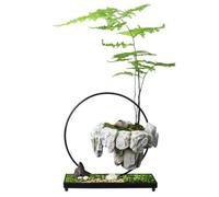 Levitating Plant Pot - Iron Resin Floating Bonsai Planter, Decorative