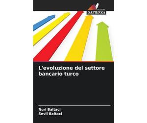 L'evoluzione del settore bancario turco