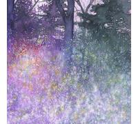 Lewis & Clarke Light Time (Vinyl LP) 12" Album (PRESALE 24/04/2026)