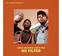 James Brandon Lewis Trio No Filter (Vinyl LP) 12" Album