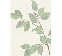 Lewis & Wood Carta da parati Beech - Document Green