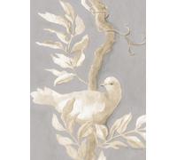 Lewis & Wood Carta da parati Doves - Thunder