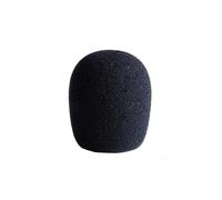 LEWITT LCTWSXS