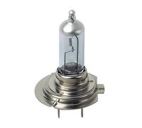 LEXM 12V Lampada Alogena Xenon - (H7) - 100W - Px26d - 2 Pz - Scatola Plast.