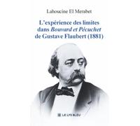 L'expérience des limites dans Bouvard et Pécuchet de Gustave Flaubert