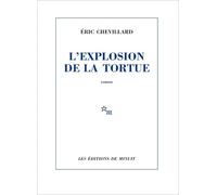 L'explosion de la tortue