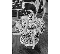 Ley de la necesidad: Edición bilingüe en español e inglés