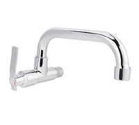 Leylor Wall Mount Kitchen Faucet,Cold Water Tap Single Handle Sink Faucet G1/2in Home Use Type A 25cm Stainless Steel Sturdy Easy Installation