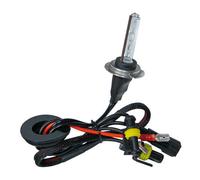 LEZE 12/24V Lampadina Hid Xenon 6.000K - H7 - 1 Pz - Scatola