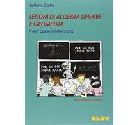 Lezioni di algebra lineare e geometria. I veri appunti del corso
