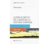Lezioni di diritto del lavoro nella gestione d'impresa
