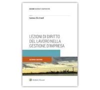Libri Zilio Grandi Gaetano - Lezioni Di Diritto Del Lavoro Nella Gestione D'impr