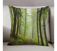LEZUAHSH Federe per Cuscini,Cuscini Divano Fodera per Cuscino Camera da Letto Decorazione per Interni 50x50cm Cuscino,All'aperto, sentiero attraverso ontani nebbiosi faggi querce boschetto di c