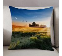 LEZUAHSH Federe per Cuscini,Cuscini Divano Fodera per Cuscino Camera da Letto Decorazione per Interni 50x50cm Cuscino,foto di prati al vento del mattino con cielo e luna Terra Paesaggio Pastora
