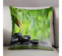 LEZUAHSH Federe per Cuscini,Cuscini Divano Fodera per Cuscino Camera da Letto Decorazione per Interni 50x50cm Cuscino,Natura morta spa con fontana di bambù e pietra zen in acqua Dipingere la st