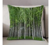 LEZUAHSH Federe per Cuscini,Cuscini Divano Fodera per Cuscino Camera da Letto Decorazione per Interni 50x50cm Cuscino,Bellissimo paesaggio estivo svedese con boschetto di betulle con tronchi bi