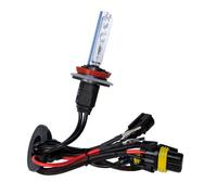 12/24V Lampadina HID Xenon 8.000K - H9 - 1 pz - Scatola