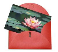 LFDSEPYM Biglietto di auguri vuoto con busta, carta perlata, biglietto con bellissimo fiore che pensa a te, biglietto regalo per compleanno, congratulazioni, matrimonio, tutte le occasioni