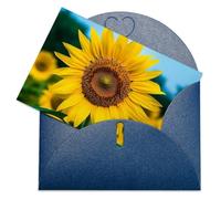 LFDSEPYM Biglietto di auguri vuoto con busta, carta perlata, biglietto per appunti, bellissimo girasole che pensa a te, biglietto regalo per compleanno, congratulazioni, matrimonio, tutte le occasioni