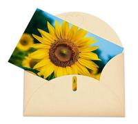 LFDSEPYM Biglietto di auguri vuoto con busta, carta perlata, biglietto per appunti, bellissimo girasole che pensa a te, biglietto regalo per compleanno, congratulazioni, matrimonio, tutte le occasioni