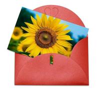 LFDSEPYM Biglietto di auguri vuoto con busta, carta perlata, biglietto per appunti, bellissimo girasole che pensa a te, biglietto regalo per compleanno, congratulazioni, matrimonio, tutte le occasioni