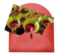 LFDSEPYM Biglietto di auguri vuoto con busta, carta perlata, biglietto per appunti, pianta carnivora, biglietto regalo per compleanno, congratulazioni, matrimonio, tutte le occasioni