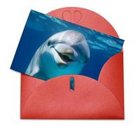 LFDSPYJE Biglietti di auguri con buste, carta perlescente che pensa a te, delfino con sorriso, biglietti di compleanno, biglietti di ringraziamento, biglietti vuoti per tutte le occasioni