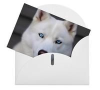 LFDSPYJE Biglietti di auguri con buste, carta perlescente Thinking of You, con occhi azzurri, biglietti di compleanno con husky, biglietti di ringraziamento vuoti per tutte le occasioni