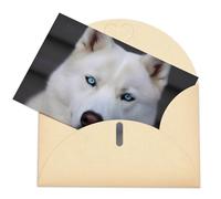 LFDSPYJE Biglietti di auguri con buste, carta perlescente Thinking of You, con occhi azzurri, biglietti di compleanno con husky, biglietti di ringraziamento vuoti per tutte le occasioni