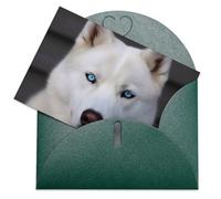 LFDSPYJE Biglietti di auguri con buste, carta perlescente Thinking of You, con occhi azzurri, biglietti di compleanno con husky, biglietti di ringraziamento vuoti per tutte le occasioni