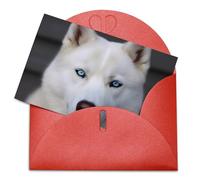 LFDSPYJE Biglietti di auguri con buste, carta perlescente Thinking of You, con occhi azzurri, biglietti di compleanno con husky, biglietti di ringraziamento vuoti per tutte le occasioni