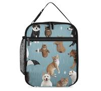 LFDSPYJE Borsa termica per il pranzo per donne e uomini che piovono gatti e cani borsa per il pranzo riutilizzabile per ufficio campeggio