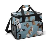 LFDSPYJE Borsa termica termica per il pranzo, con tasca laterale che piove gatti e cani, grande, riutilizzabile, per campeggio, spiaggia
