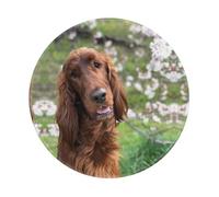 LfearTesa Divertente setter irlandese, tappetino per mouse rotondo da 8 pollici, base in gomma antiscivolo impermeabile