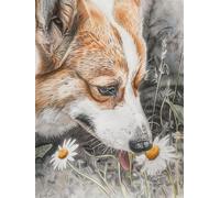 LFYNIORS Kit Punto Croce Animale Corgi E Fiori Di Margherita 14Ct Set Per Ricamo Prestampato Completo Bambini Stampati Schemi Ricamare Decorazione Da Parete Di Casa Principianti 60x80cm