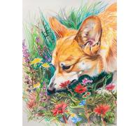 LFYNIORS Kit Ricamo Principianti Punto Croce Animale Corgi Colorato 14Ct Set Per Ricamo Prestampato Completo Bambini Stampati Schemi Ricamare Decorazione Da Parete Di Casa Principianti 60x80cm