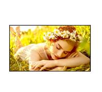 Display professionale 55" 3840x2160 UHD 4K UL5Q SERIES Signage Black 55UL5Q M A
