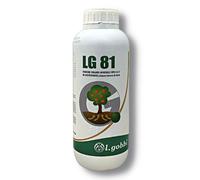 LG 81 L.Gobbi Concime organo-minerale NPK 4-6-5