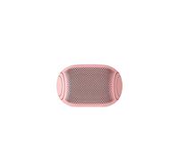 LG XBOOM Go PL2P Cassa Bluetooth Portatile - Altoparlante Speaker Bluetooth 5.0, Waterproof IPX5, con Audio Meridian e Bassi Potenti, 10 Ore di Riproduzione, Comandi Vocali, Sound Boost, USB-C